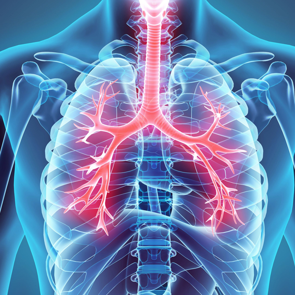 Pulmonology5